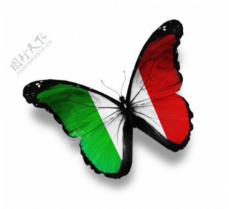意大利国旗蝴蝶