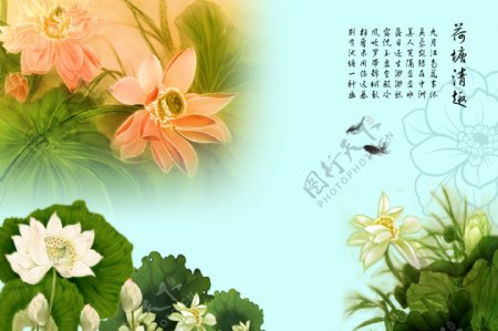 花卉装饰背景素材
