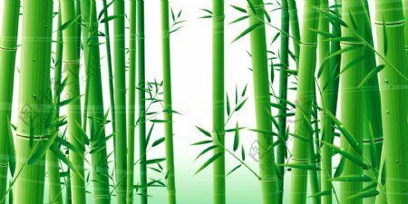 绿色竹子素材背景墙