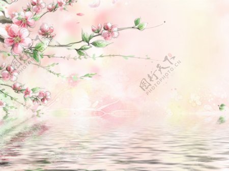 粉色桃花背景墙
