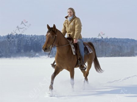 雪地里骑马的女孩图片