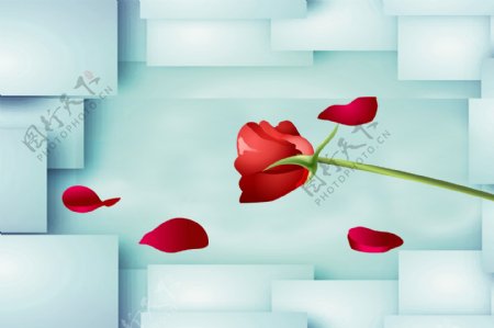 红色玫瑰花背景墙
