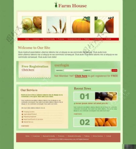 农业产品信息网页模板