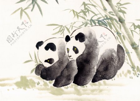 熊猫写意动物画国画0029