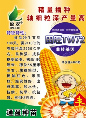 玉米种子田旺TW72