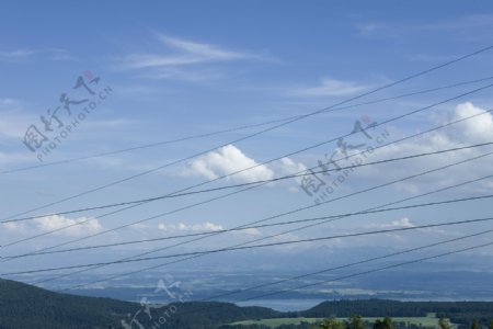 森林电线风景图片