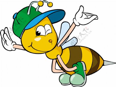 蜜蜂24