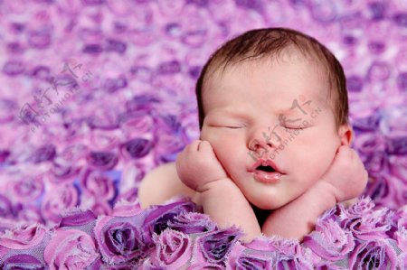 玫瑰花里的宝宝图片