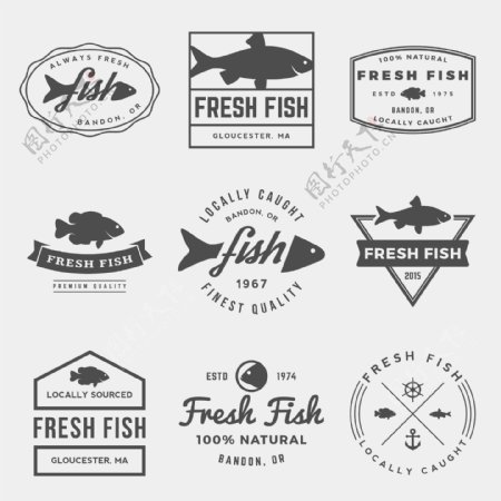鱼肉标签