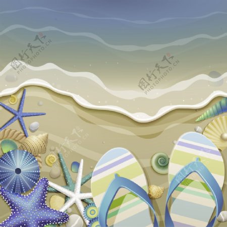 夏季沙滩海星背景
