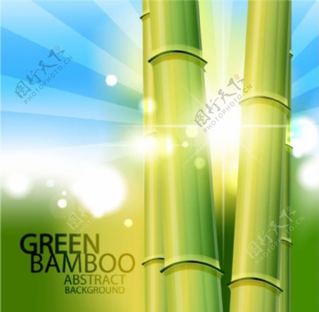 竹子设计元素矢量背景素材
