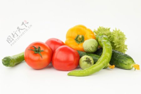 西红柿等蔬菜图片