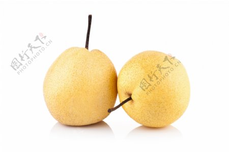 两个梨子图片