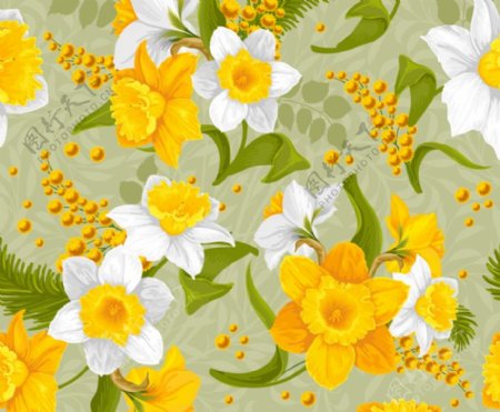 黄白花卉背景矢量素材