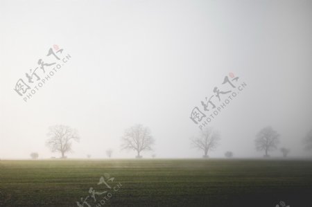 清晨雾天田园风景图片