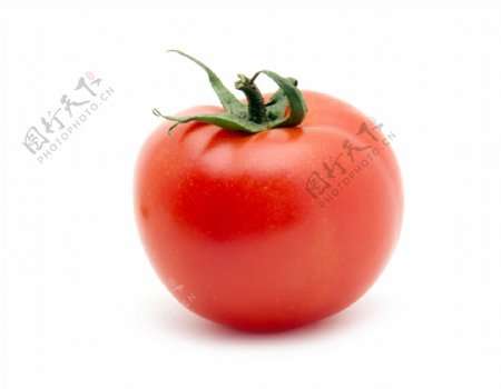 一个西红柿图片