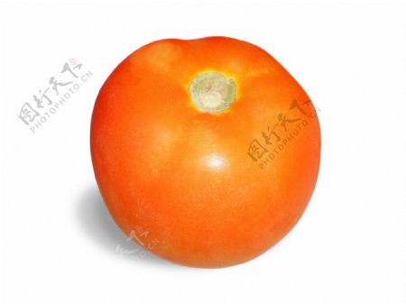 新鲜番茄图片