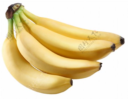 黄色新鲜香蕉图片