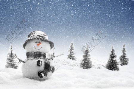 美丽冬天雪景雪人图片