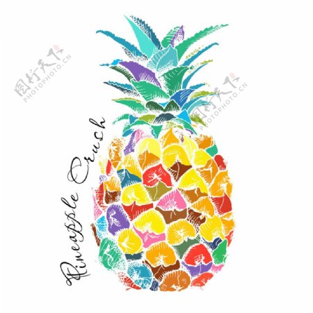 彩色菠萝漫画图片
