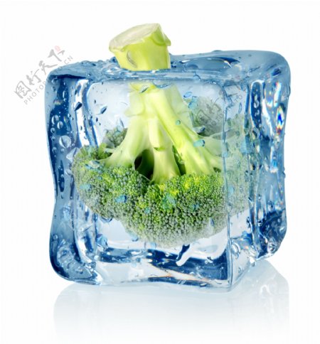 冰块里的花菜