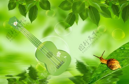 吉他绿叶