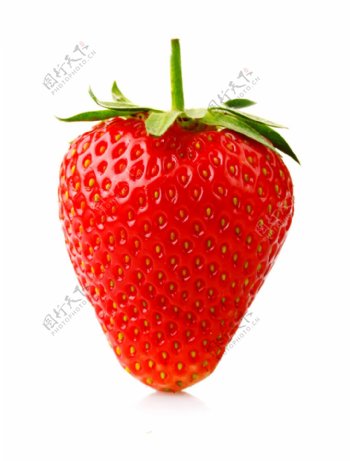 新鲜的草莓水果高清图片6
