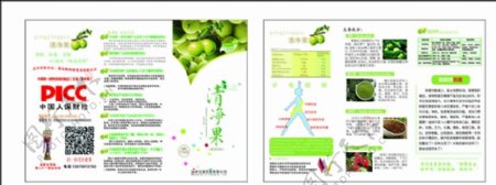 DM单模板单片宣传单图片