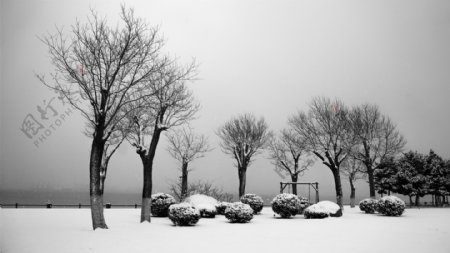 唯美黑白色雪景图片
