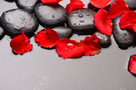 石子和玫瑰花瓣