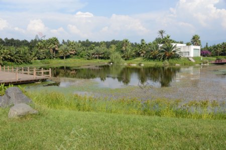 湿地公园图片