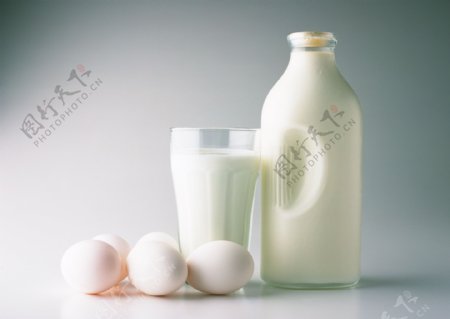 牛奶与鸡蛋