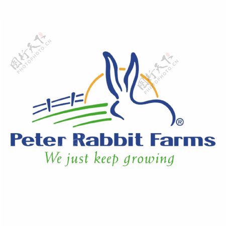 彼得兔子养殖