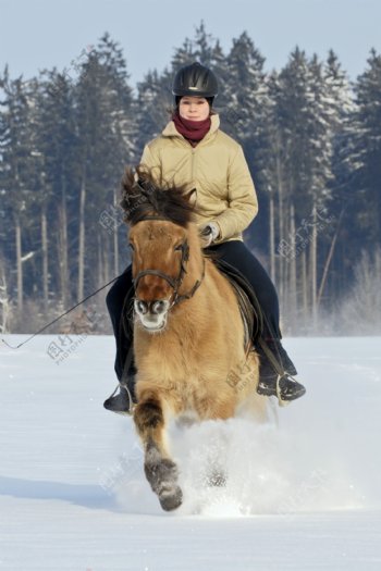 雪地里骑马的女孩图片