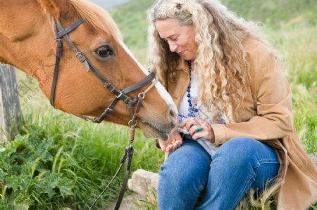 正在喂马的女人图片