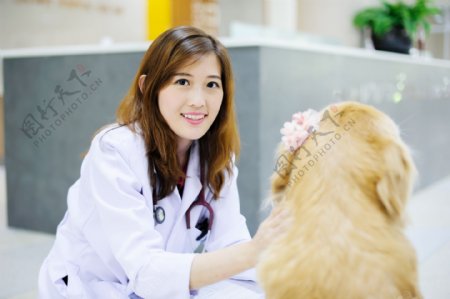女兽医与宠物狗图片
