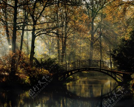 美丽小桥流水景色图片