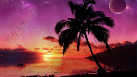 黄昏海边椰子树风景图片