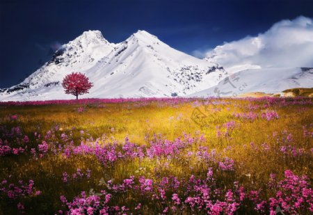 自然雪山风景图片