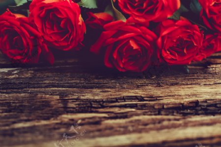 木板上的红色玫瑰花