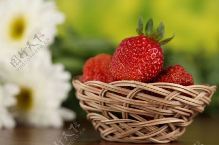一萝框草莓和菊花