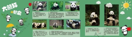 大熊猫海报设计