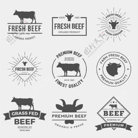 牛肉标签图片