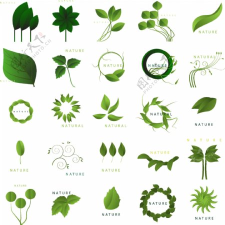 绿色叶子环保标志