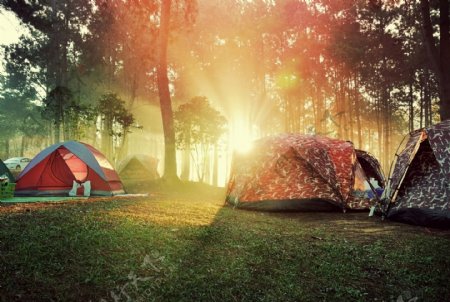 草地上的帐篷