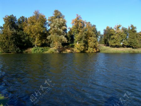干净的湖水秋天树林风景