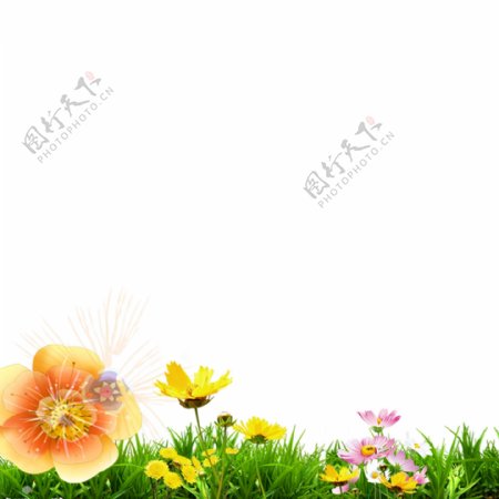 草地花朵元素