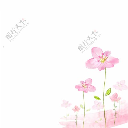 粉色小花元素