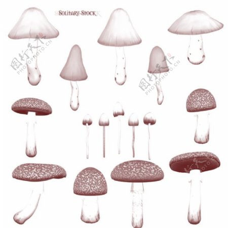 可爱蘑菇笔刷
