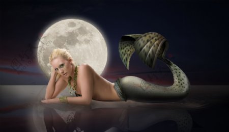 性感美人鱼与月亮图片